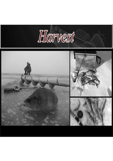 20 Adet/paket Kış Buz Olta Üst Cw 2.0-10.0g Mini Olta Taşınabilir Mücadele 75mm-90mm Buz Olta Takımı 70mm-c.w 4.0-6.0g-20pcs