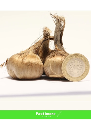 Premium Dikime Hazır Yerli Üretim Büyük Boy 1. Kalite Safranbolu Safran Bitkisi Soğanı