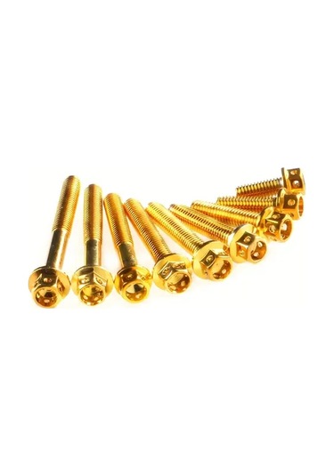 Willowhaven M6x25mm 10adet Altın Titanyum Kaplama Paslanmaz Çelik Motor Cıvataları