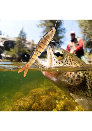 Tenfowee Plastik Dayanıklı Somon Yemi 13.7cm 27g Uzak Atışlı, Keskin İğneli, Canlı Renkli 5 Seçenek Jm034-5