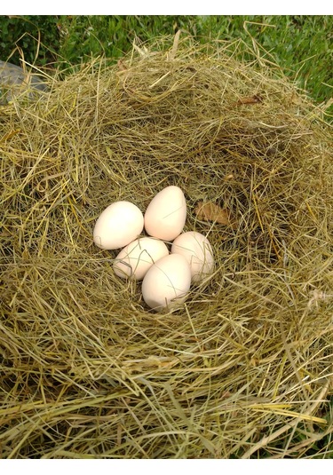 Alex Gips Yolunceği Temizlik Ürünleri 240119249