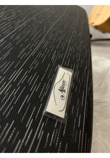 Karbonfiber Kutulu Profesyonel El Yapımı Keman