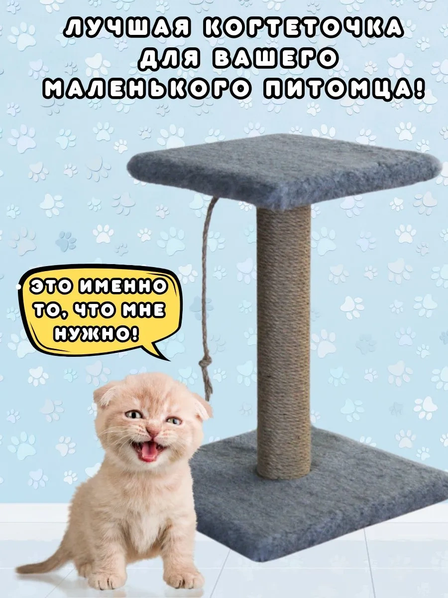 Mr Cat Yavru Kediler İçin Tırmalama Direği 416470854