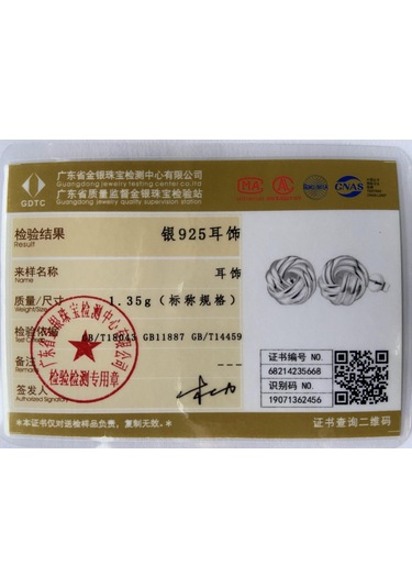 925 Ayar Gümüş Dokuma Küpe Parti Hediyeleri Moda Takı