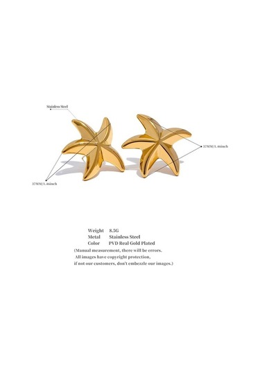 Novahub Altın 316l Paslanmaz Çelik Denizyıldızı Büyük Küpe Kadınlar İçin Anti Alerjik Takı Plaj Hediye Yeni Altın