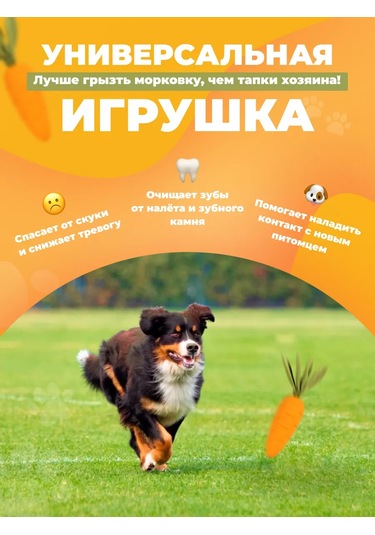 Ollypet Büyük Ve Orta Boy Köpekler İçin Dayanıklı Havuç Oyuncak 227013316