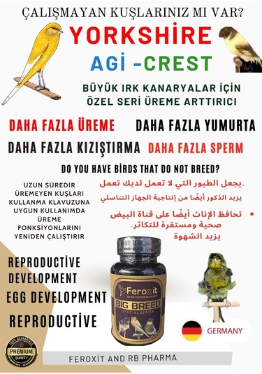 Feroxit Büyük Irk Kanaryalar İçin Özel Olarak Geliştirilen Daha Fazla Üreme
