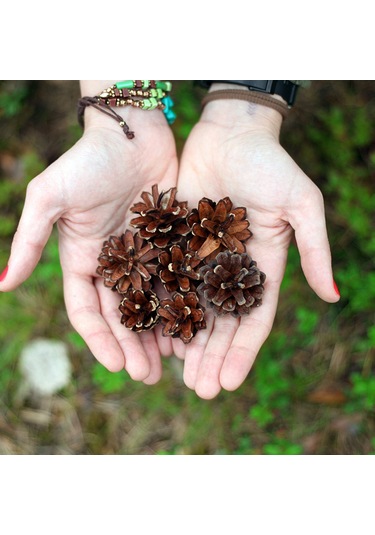 Kangvka 9 Adet Ahşap Kestane Noel Ağaç Dekorasyonu - Ev Ofis Noel Atmosferi Oluşturucu Asma Süsleri Beyaz Çok Renkli