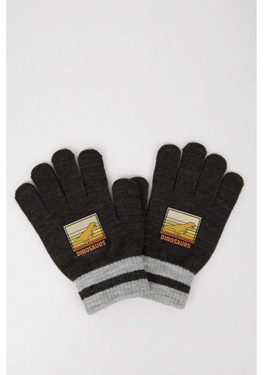 DeFacto Erkek Çocuk Baskılı Triko Eldiven S0406A624WNAR1