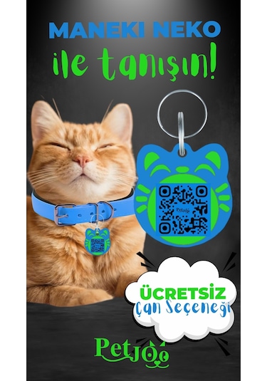 Petjoo 4.Maneki Neko Yeşil-Mavi Qr'lı Kedi Künyesi