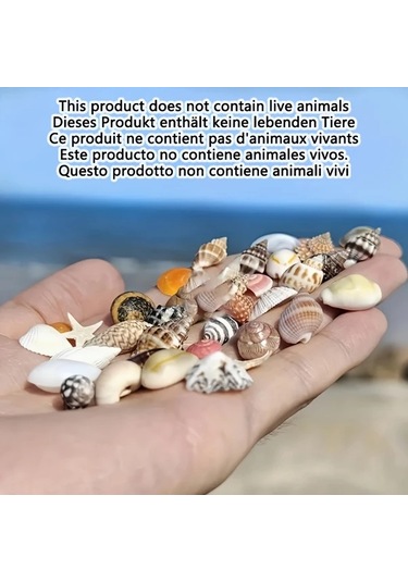 Willowhaven 500g Renkli Mini Kabuk Kum Karışımı Dıy El Sanatları Akvaryum Dekorasyon