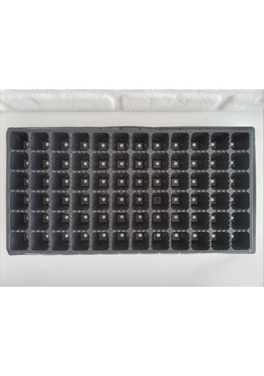 Fide Viyolü 72 Göz 6 Adet Fide Viyol Fide Viyolleri Fidelik