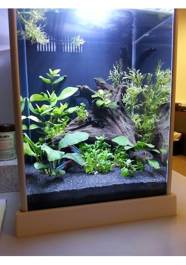 Ahs 20 Kg 1-2mm Hagen Siyah Bitki Kumu Akvaryum Kumu 20 Kg