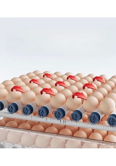 Tam Otomatik 120 Yumurta Kapasiteli Kuluçka Makinesi - Civciv Kaz Hindi Ördek İçin Wifi Kameralı Yed