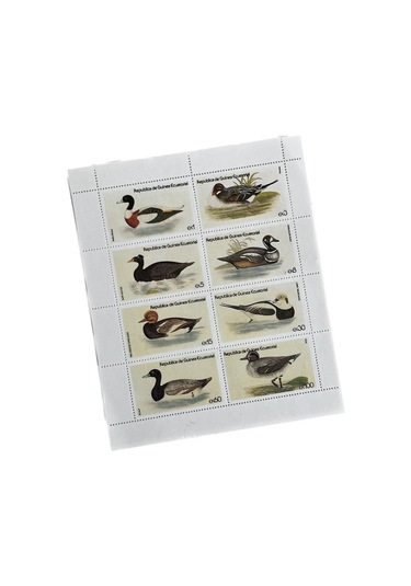 Ördek Temalı Ekvator Ginesi Damgasız 8'li Blok Pul
