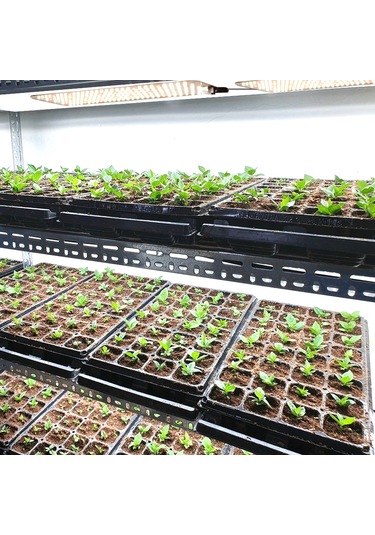 Reedark Bitki Büyüme Lambası - 6 Aydınlık Seviyeli, Akıllı Zamanlayıcılı, Full Spektrum Led Panel 30x8cm Diğer