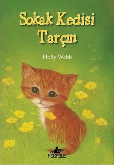 Sokak Kedisi Tarçın - Holly Webb - Pegasus