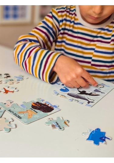 Doerkids Kuzey Kutbu Hayvanları Mini Puzzle 40 Parça 4 Yaş