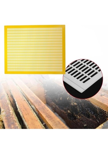 Pazly Suntek Sarı Pratik Kraliçe Dışlayıcı Çerçeve Arı 10 Hs