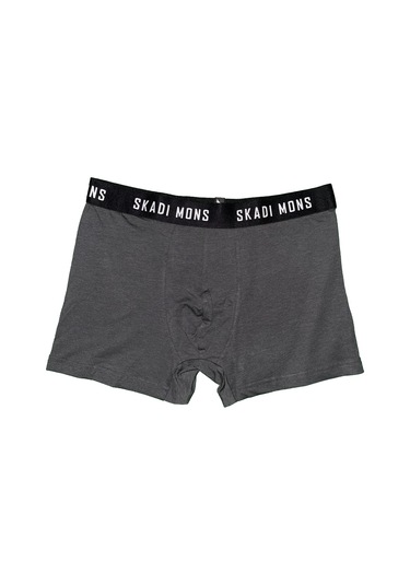 Skadi Mons Basic Erkek Gri Iç Çamaşır 3605020123-003