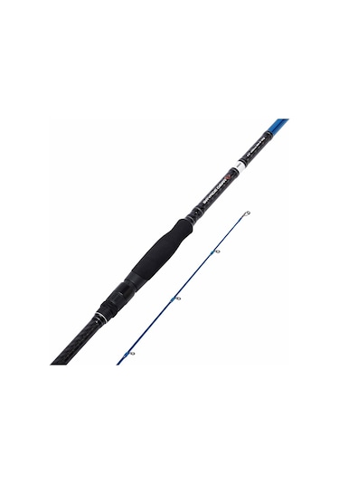 Savage Gear Sgs2 Long Casting 9'6"/2.90M 30-70 Gr 2 Parça