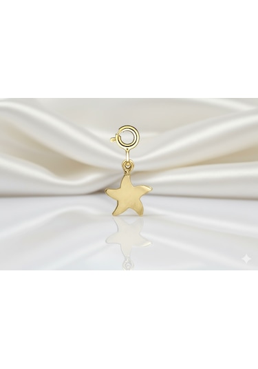 Ariş Yıldız Charm Altın Kolye Ucu N11.20498