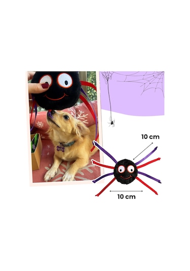 Havhav Halloween Temalı Köpek Oyuncak  Seti