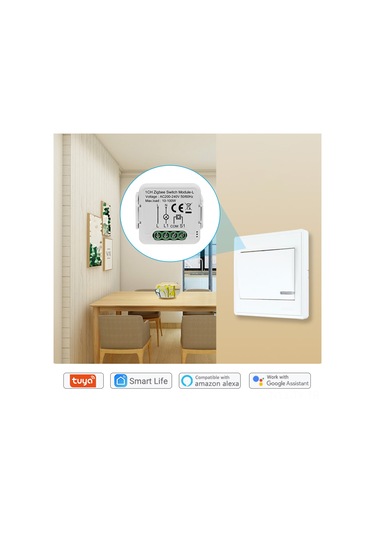 Teltree Tuya Zigbee Akıllı Anahtar Modülü - 2 Yollu Uzaktan Kontrol, Zamanlayıcı Ve Ses Komutu İle Ev Otomasyonu 1-gang