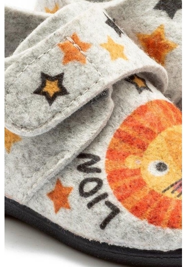 Tw Lion 2 24/30 Çok Renkli