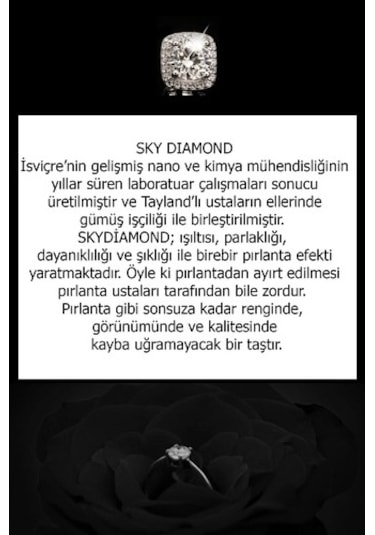 Sky Diamond Gümüş Rose Damla Set Takım