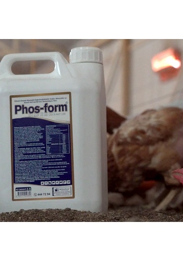 Royal Phos Form Kanatlılarda Gagalama, Amino Asit Desteği İle Gelişim 5 Lt