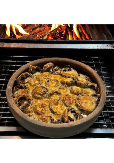 Toprak Mantar Güveci 22 x 4 CM Kahverengi