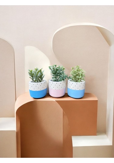 Renkli Saksı Seti Sukulent Kaktüs Dekoratif Eşya- Ev Dekorasyon - Saksı Seti 4