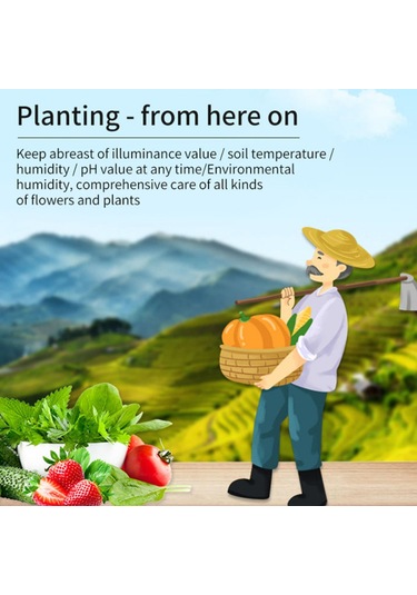 Qingmipy Toprak Ph, Nem, Sıcaklık Ve Işık Ölçer - 4'lü Multifonksiyonel Toprak Analiz Aleti - Pil Dahil Değil
