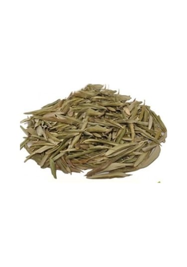 İlayda Zeytin Yaprağı 40 G