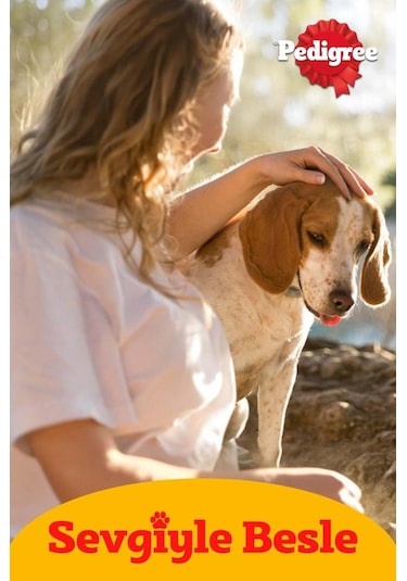 Pedigree Tavuklu Konserve Köpek Yaş Mama 400 Gr X24