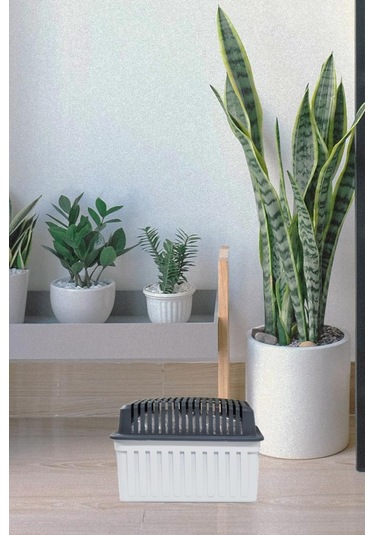 1 Kg. Gri Dikdörtgen Nem Alıcı Aparat Naturel ( 1 Kg. Blok )