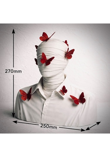 Butterfly Passion Mumya Büst 270mm X 250mm Büyük Boy Dekorasyon