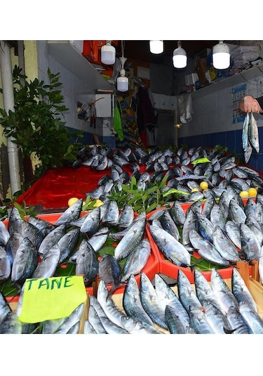 Philips TrueForce 20W (55W) Torch Led Ampul Beyaz 6500K - Jumbo Pazar Lambası 13,9 cm