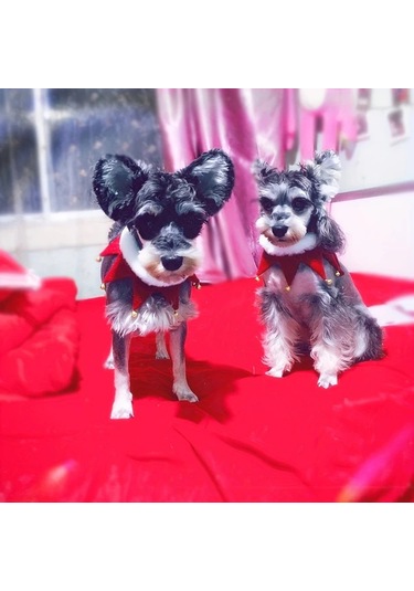 Elmpaly Koyu Yeşil S Küçük Ve Büyük Köpek Ve Kedi İçin El Yapımı Polar Kaplama Yün Atkı