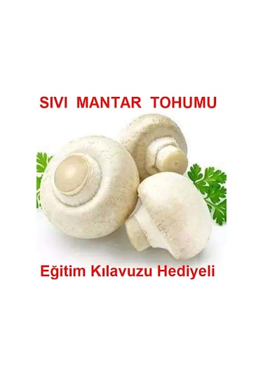 100 Ml Beyaz KüLür Mantarı Tohumu