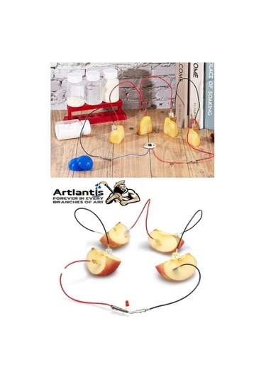 Elektrik Limon Deney Seti 1 Paket Limondan Elektrik Üretme Seti Limon Pili Fen Bilgisi Dersi Kimyasal Enerji