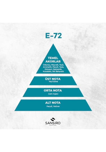 Sansiro E-72 Erkek Parfüm EDP 50 ML