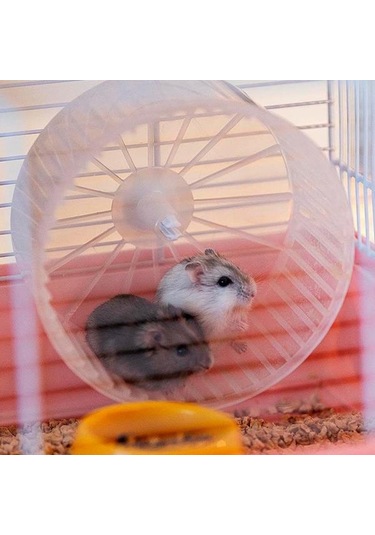 Ferplast Criceti 9 Hamster Kafesi Prenses Temalı