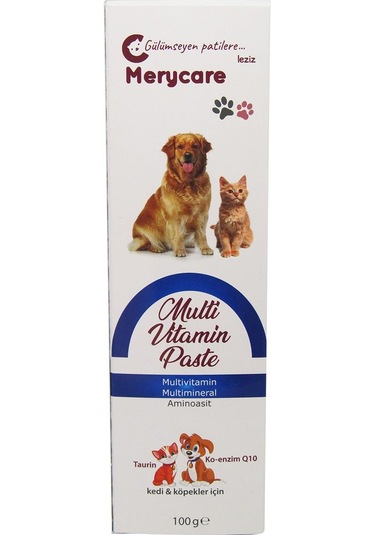 Merycare Multivitamin Paste Lezzetli Formül 100 ML