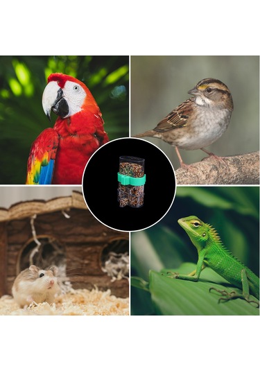 Yuntech01 Kuş Otomatik Yem/kaplama Makyinesi, Transparan Yeşil Plastik, Kuşluk Aksesuarı, Hamster, Kıskaçlı Kuşlar İçin, Kafes Temizliği Sağlar, Kolay Kurulum