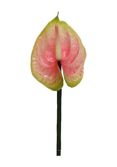 Yapay Antoryum Çiçeği Canlı Dokunuş Pembe 40 Cm-9975