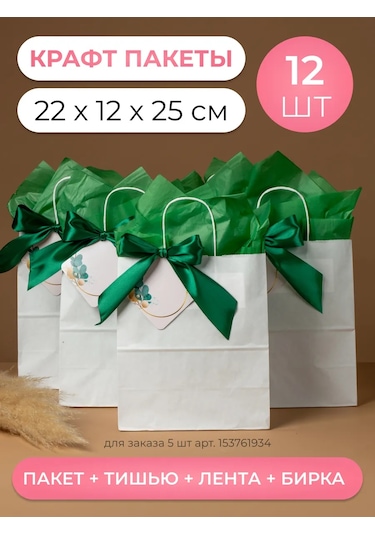 Sinitsa Ecoshop Kağıt Hediye Poşetleri 12'li Set 153761937