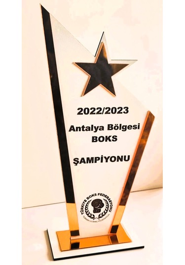 Hediyelik Plaket Dövüş Sporları Masa Tenisi Futbol Basketbol Voleybol Masa Tenisi Vb. Beyaz