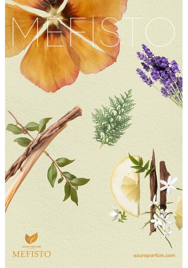 Azura Prestige Niche Mefisto Unisex Parfüm EDP 100 ML